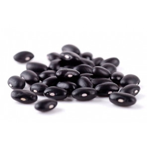 Feijão Preto Orgânico 500g